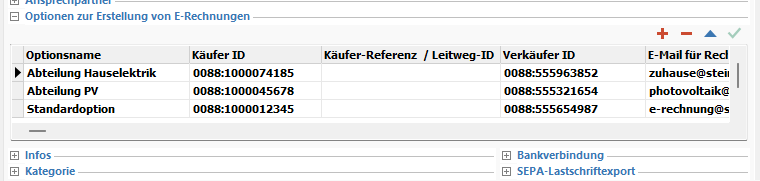 Hinterlegung alternativer E-Rechnungsoptionen je Kunde