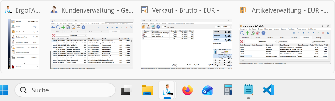 ErgoFAKT in der Windows-Fensterverwaltung